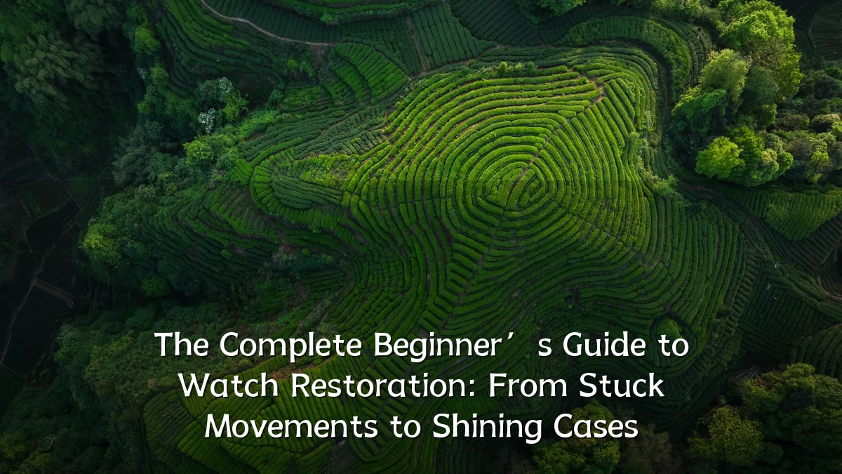 The Complete Beginner’s Guide to Watch Restoration: From Stuck Movements to Shining Cases