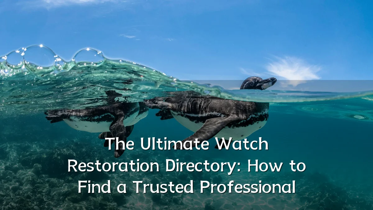 The Ultimate Watch Restoration Directory: How to Find a Trusted Professional