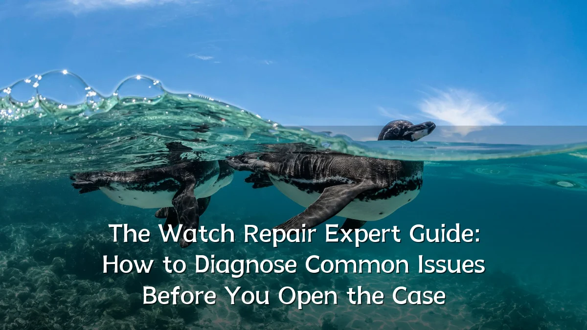 The Watch Repair Expert Guide: How to Diagnose Common Issues Before You Open the Case