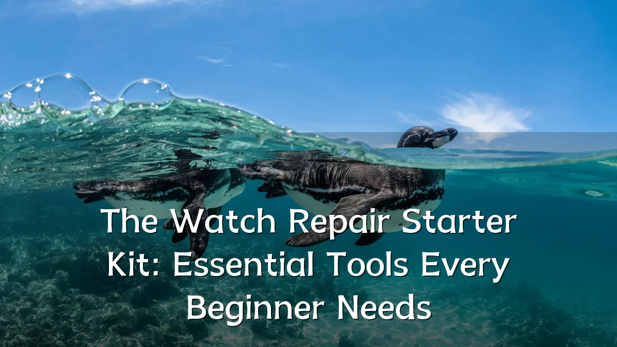 The Watch Repair Starter Kit: Essential Tools Every Beginner Needs