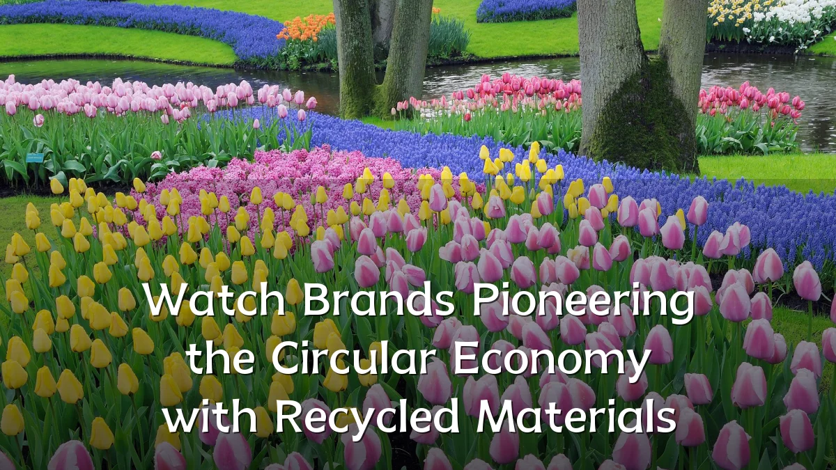 Watch Brands Pioneering the Circular Economy with Recycled Materials