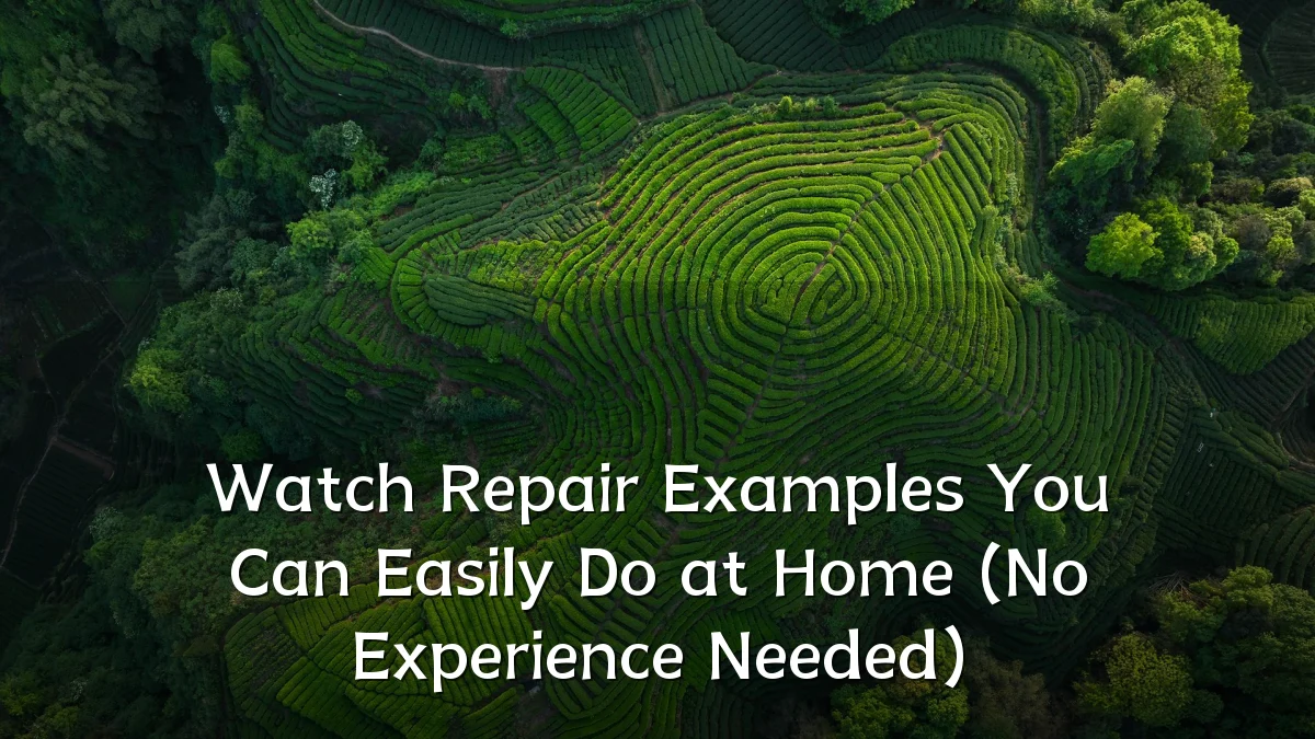 Watch Repair Examples You Can Easily Do at Home (No Experience Needed)