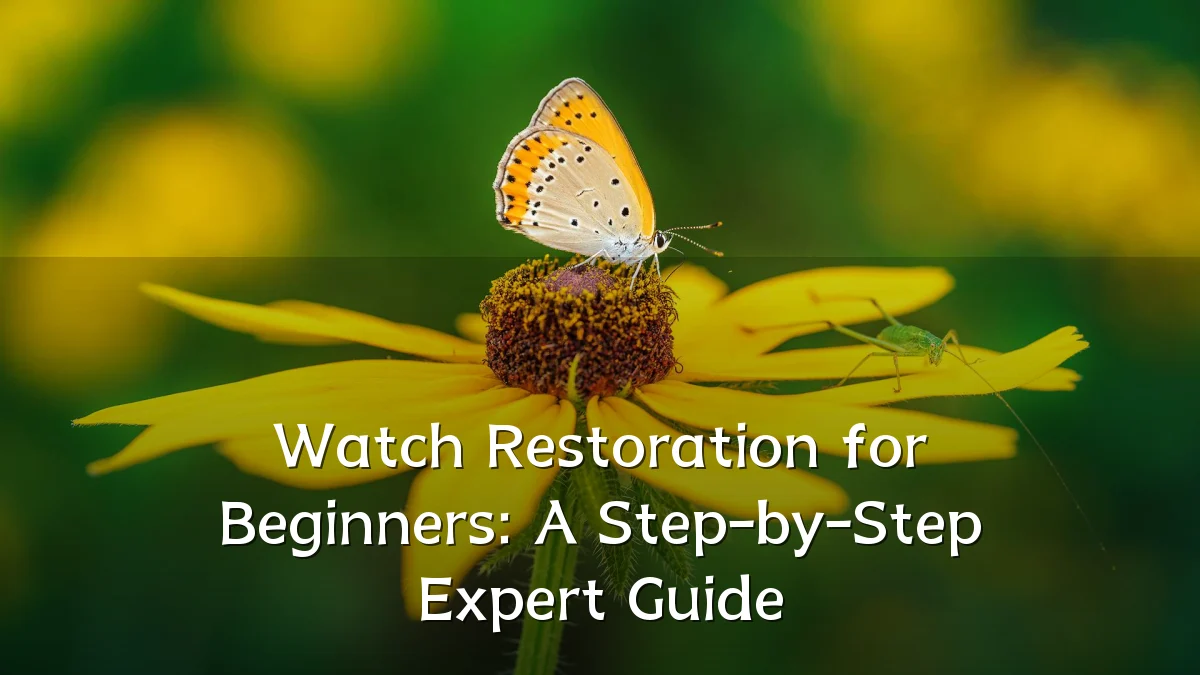 Watch Restoration for Beginners: A Step-by-Step Expert Guide