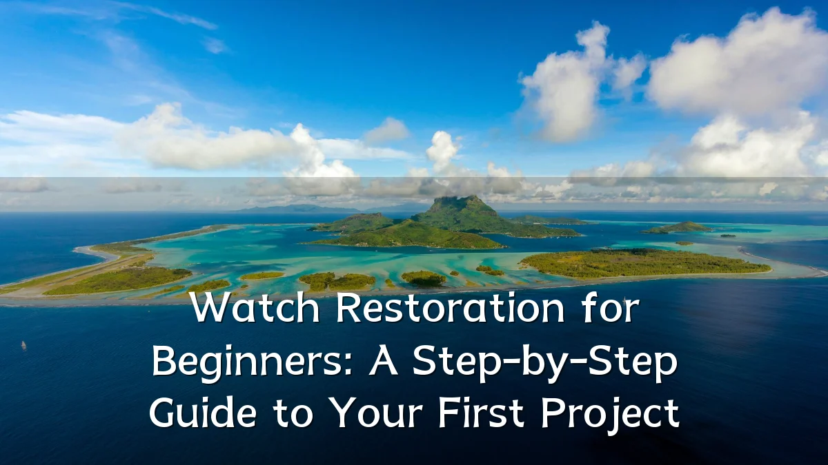 Watch Restoration for Beginners: A Step-by-Step Guide to Your First Project