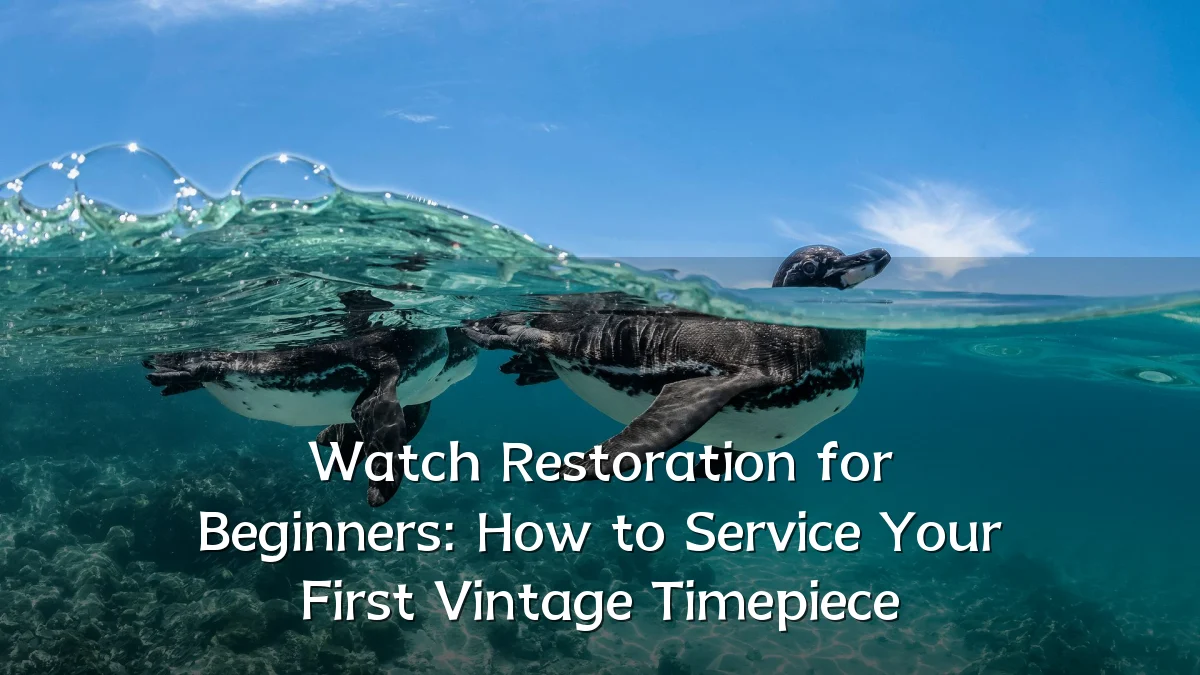 Watch Restoration for Beginners: How to Service Your First Vintage Timepiece