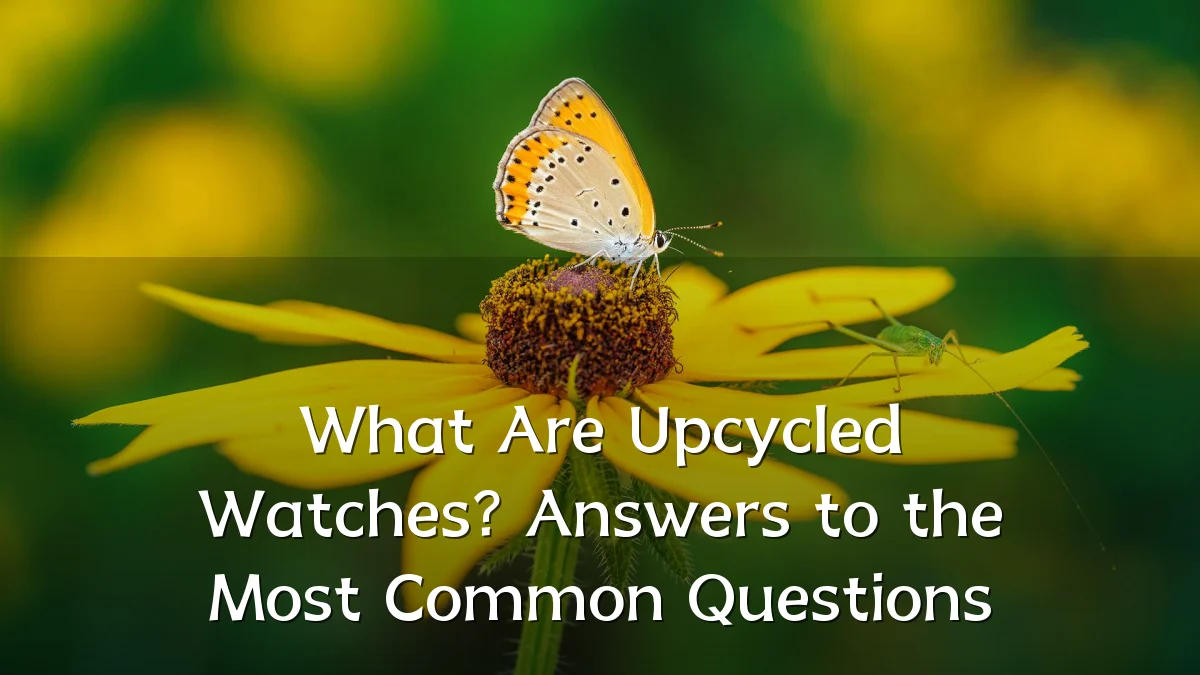 What Are Upcycled Watches? Answers to the Most Common Questions