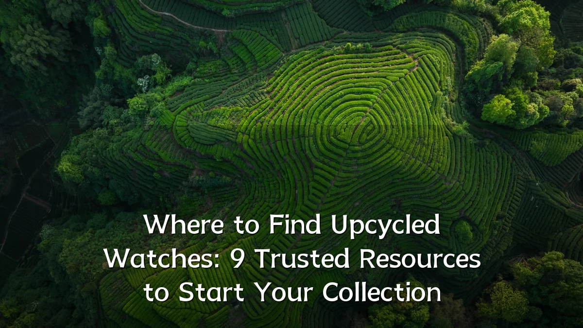 Where to Find Upcycled Watches: 9 Trusted Resources to Start Your Collection