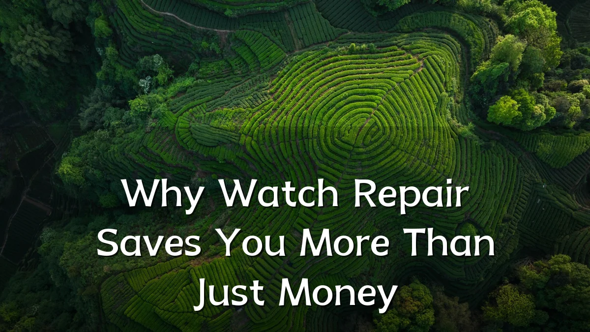 Why Watch Repair Saves You More Than Just Money